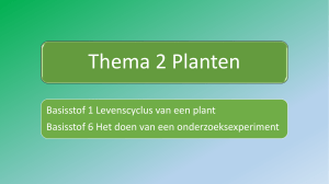 PPT1 Levenscyclus planten + onderzoek doen