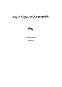 Advies honingbijen en solitaire bijen in Rotterdam