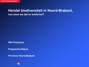 Herstel biodiversiteit in Noord-Brabant