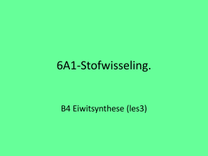 6A1-B3 Eiwitsynthese (les3