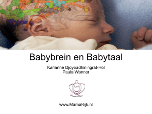 W25 Babycommunicatie - Karianne Djoyoadhiningrat-Hol