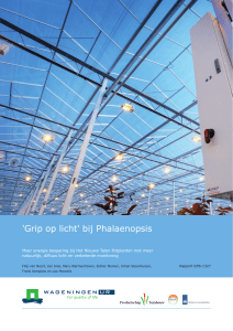 `Grip op licht` bij Phalaenopsis - Wageningen UR E-depot
