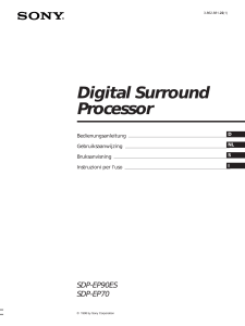 Digital Surround Processor