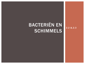 Bacteriën en schimmels