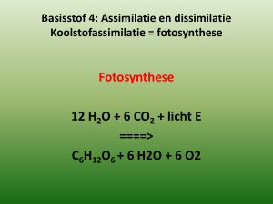 Basisstof 4: Assimilatie en dissimilatie