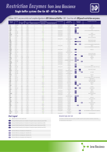 Restriction Enzymes from Jena Bioscience - Bio