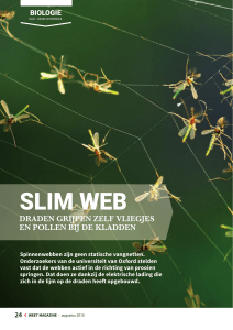 SLIM WEB - Weet Magazine