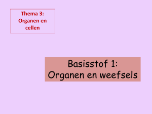 Basisstof 1: Organen en weefsels