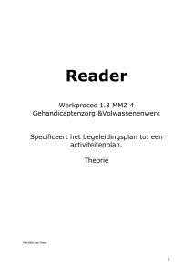 Reader MMZ 1.3 theorie