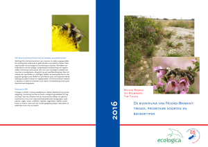 de bijenfauna van noord-brabant: trends, prioritaire soorten en