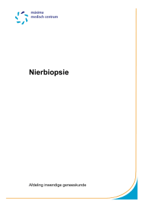 Echografie, Nierbiopsie - Máxima Medisch Centrum