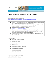 De celcyclus: mitose en meiose