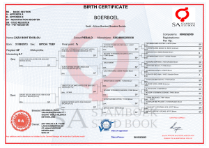 birth certificate boerboel