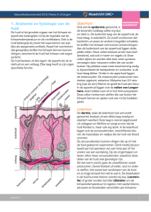 1. Anatomie en fysiologie van de huid