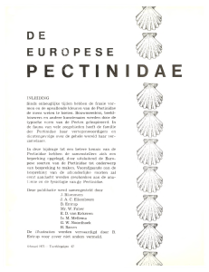 De Europese Pectinidae