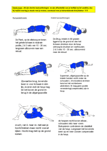 Denk eraan : dit zijn slechts basisoefeningen en zijn afhankelijk van
