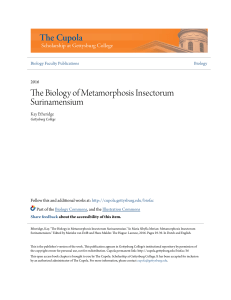 The Biology of Metamorphosis Insectorum Surinamensium