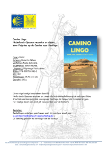 Camino Lingo: Nederlands – Spaans.