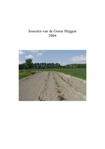 Insecten van de Goese Heggen 2004