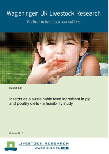 Insects as a sustainable feed ingredient in pig and poultry diets
