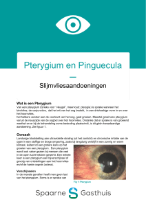 Pterygium en Pinguecula