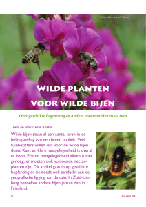 Wilde planten voor wilde bijen