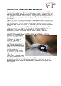 moeraskoorts/equine infectieuze anemie (eia)