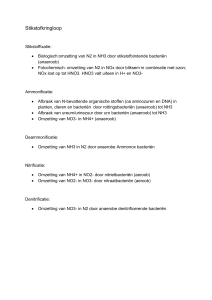 Termen N-kringloop - Biologie IJsselcollege