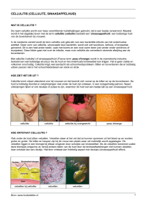 Cellulitis (cellulite, sinaasappelhuid) (patientenfolder)