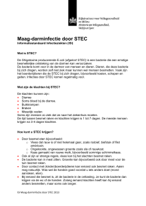 Maag-darminfectie door STEC