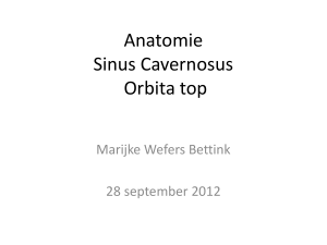 1020 Dr Wefers-Bettink Anatomie van de CS en de bijbehorende