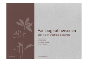 Van oog tot hersenen