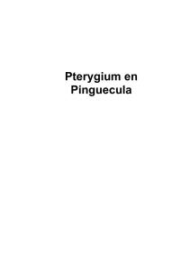 9772762 Pterygium en Pinguecula