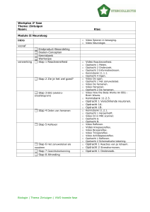 Neuroloog - Wikiwijs Maken