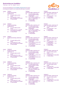Basistraining voor handbikers Training 1 tot 18