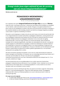 PEDAGOGISCH MEDEWERKER / LERAARONDERST
