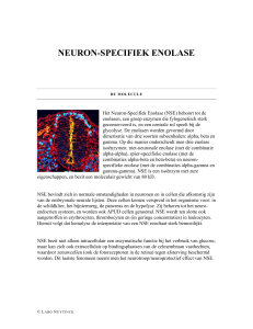neuron-specifiek enolase