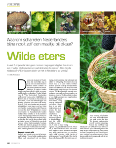 Experiment NL 2016 | Wilde eters
