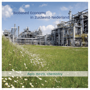 Biobased Economy in Zuidwest