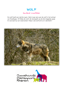 Wolf - Ouwehands Dierenpark
