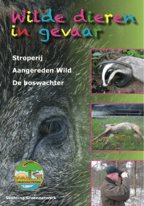 Wilde dieren in gevaar - Stichting Groennetwerk