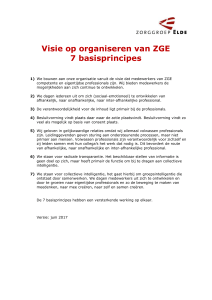 Visie op organiseren van ZGE 7 basisprincipes