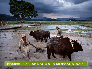 Landbouw in Moesson-Azië - Portfolio Aardrijkskunde Jolien Felis
