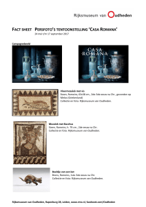 fact sheet persfoto`s tentoonstelling `casa romana`