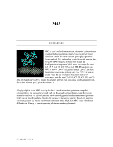 M43 is een koolhydraatstructuur, die op de