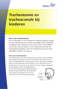 Tracheotomie en tracheacanule bij kinderen