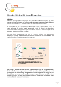 Opname, transport en functie van de vitamine B