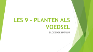 les 9 * planten als voedsel