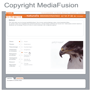 Copyright MediaFusion