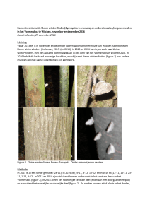Bomeninventarisatie kleine wintervlinder Vormersbos 2016